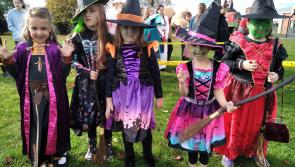 In Pictures  - Spooktacular spectacles for Halloween in Laois school 