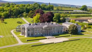 Man accused of murdering father at luxury Laois hotel had lunged at family on flight to Paris, court hears 