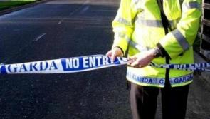 'His face went grey' - Woman describes seeing her partner die after shooting 