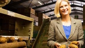 Laois Offaly move from 'brown to green' to be outlined at COP26 climate conference 