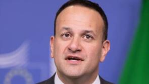 Tánaiste says new climate plan provides 'clarity and opportunities' for businesses