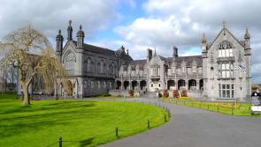 Boy aged 13 who died  in tragic hurling accident is mourned