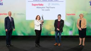 BREAKING: Outstanding Abbeyleix is Ireland's Tidiest Small Town