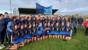 Excellent defensive display helps Ballyroan claim Intermediate championship