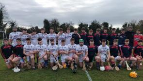 Mountrath CS Senior hurlers fall short in bid to reach Leinster schools final