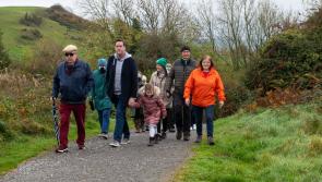 IN PICTURES Laois ramble round the Rock of Dunamase
