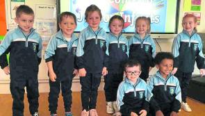 Progess made on extension to Laois school says Laois Minister