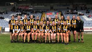 Camross hold off brave St Brigid's to claim Intermediate Camogie crown