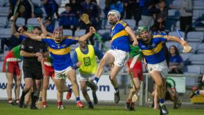 Laois senior hurling champions to feature live on RTE this Saturday