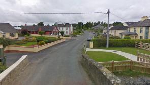 'Numerous close calls' leads to demands for speed ramp in Laois village