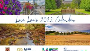 New Lovely Laois calendar to help mental health service