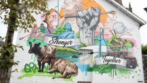 Call to bring markets back to 'marvellous' square in Laois town