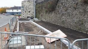 Work on Portlaoise path project after former councillor speaks out