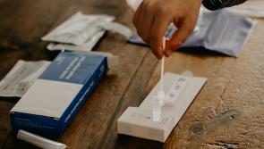 Explainer: How does the Covid-19 antigen test system work in primary schools