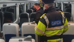 Gardaí patrol local trains passing through Laois