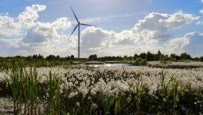 Laois council commissioning  major green energy blueprint for Midlands