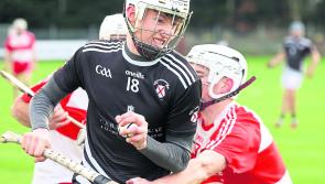 Trumera go down fighting as Leinster hurling journey ends