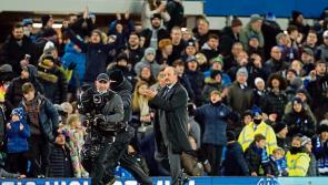 Everton produce 'perfect comeback' as Benitez hails win over Arsenal