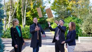 Laois digital marketing student to give DPD Ireland a branding boost
