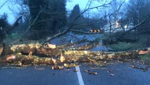 Storm Barra hasn't gone away you know - Laois in latest Met Éireann weather alert