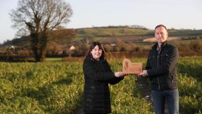 Laois man scoops top prize from Guinness