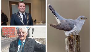 Seconds out for round two of 'cuckoo' roads row between Laois councillors