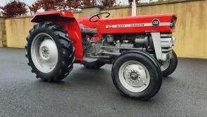 WATCH: Mad for a Massey? Stradbally Steam Rally launches new fundraiser