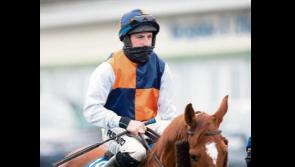 125/1 winner on second day of Limerick Christmas Racing Festival
