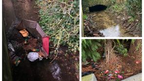Laois dumping blackspot missed as councillor reports syringes in waste clean up
