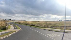 Major housing development with more than 200 homes in pipeline for Laois 