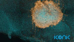 New study reveals white blood cells can mount immune response against Omicron
