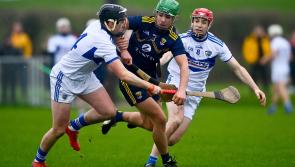 Wexford the masters as Laois hurlers open 2022 with defeat