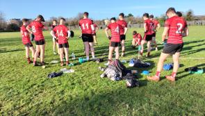 Portlaoise CBS Leinster championship hopes end at hands of clinical Gorey