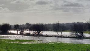 River dredging needed to tackle 'major problem' with flooding in Laois
