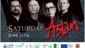 Music Sounds Better With You!  Old Fort Festival Returns to Portlaoise 