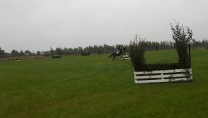 WATCH: Laois team win despite fall in Junior Hunt Chase at Ploughing 2017