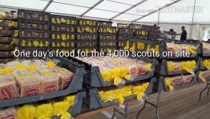 WATCH: Electric Picnic site is hosting 4,000 kids camping for Scouting Ireland JamboRÍ 