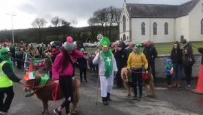 #WATCH St Patrick's Day Parade in the Laois village of Spink  in 2019