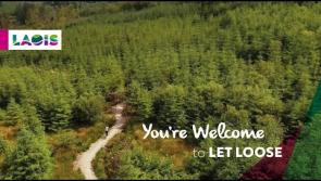 WATCH You're welcome to Laois - new brand launched to attract more tourists to Laois