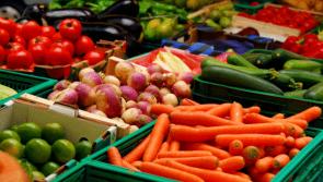 More local food production could help tackle inflation claims Laois TD