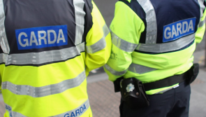 Rise in Garda use of force at mental health incidents, says report