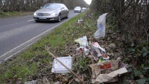 Tidy Towns and GAA unite in three Laois communities mount operation roadside transformation litter pick