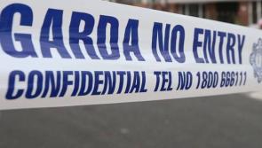 Man arrested after armed robbery near Laois