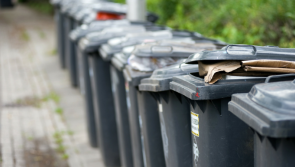 Laois holiday bin times and bottle banks 