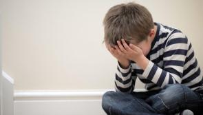 'Scandalous huge backlog' of Laois Offaly children waiting to see psychologist rails Sinn Féin's Brian Stanley