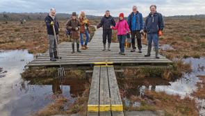 Funding support for community bog projects in Laois