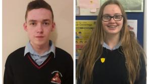 Laois students in Mountrath school impress at BT Young Scientist
