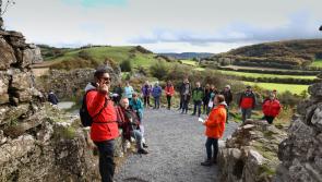 Public money on its way for Laois creativity 