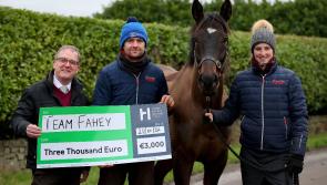 Stable staff from Laois Horse trainer yard wins best in class award from Horse Racing Ireland