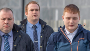 Man jailed for cocaine-fuelled shooting spree at Gardaí